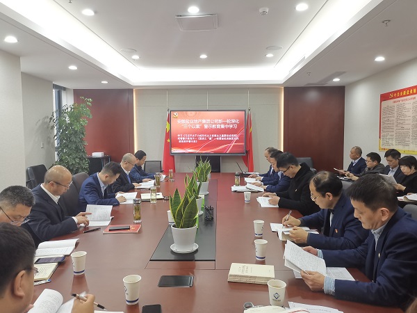 安徽UG环球地产集团公司开展新一轮深化“三个以案”警示教育集中学习