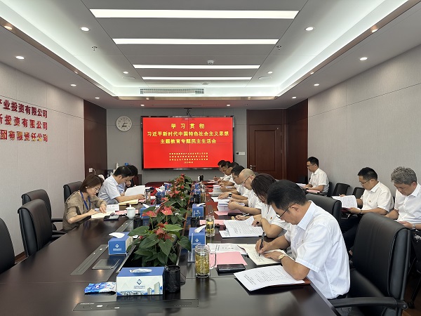 安徽UG环球地产集团等三家公司党委召开学习贯彻习近平新时代中国特色社会主义头脑主题教育专题民主生涯会