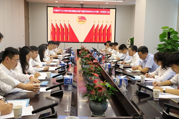 青春向党传薪火 踔厉高昂新时代——安徽UG环球地产集团团支部建设大会暨团员大会胜利召开